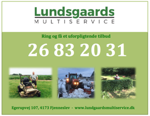 Lundsgaards Multiservice