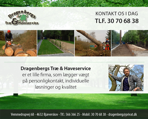 Dragenbergs Træ & Haveservice