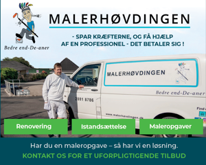 Malerhøvdingen