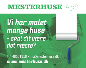 Mesterhuse ApS