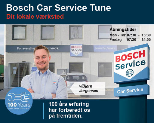 Bosch Car Service Tune