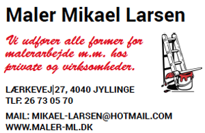 Maler Mikael Larsen