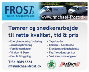 Tømrermester Michael Frost ApS