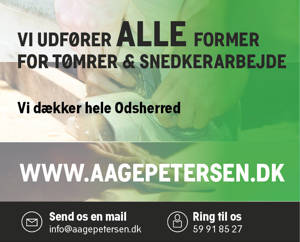 Snedker- og Tømrermestre Aage Petersen & Søn ApS