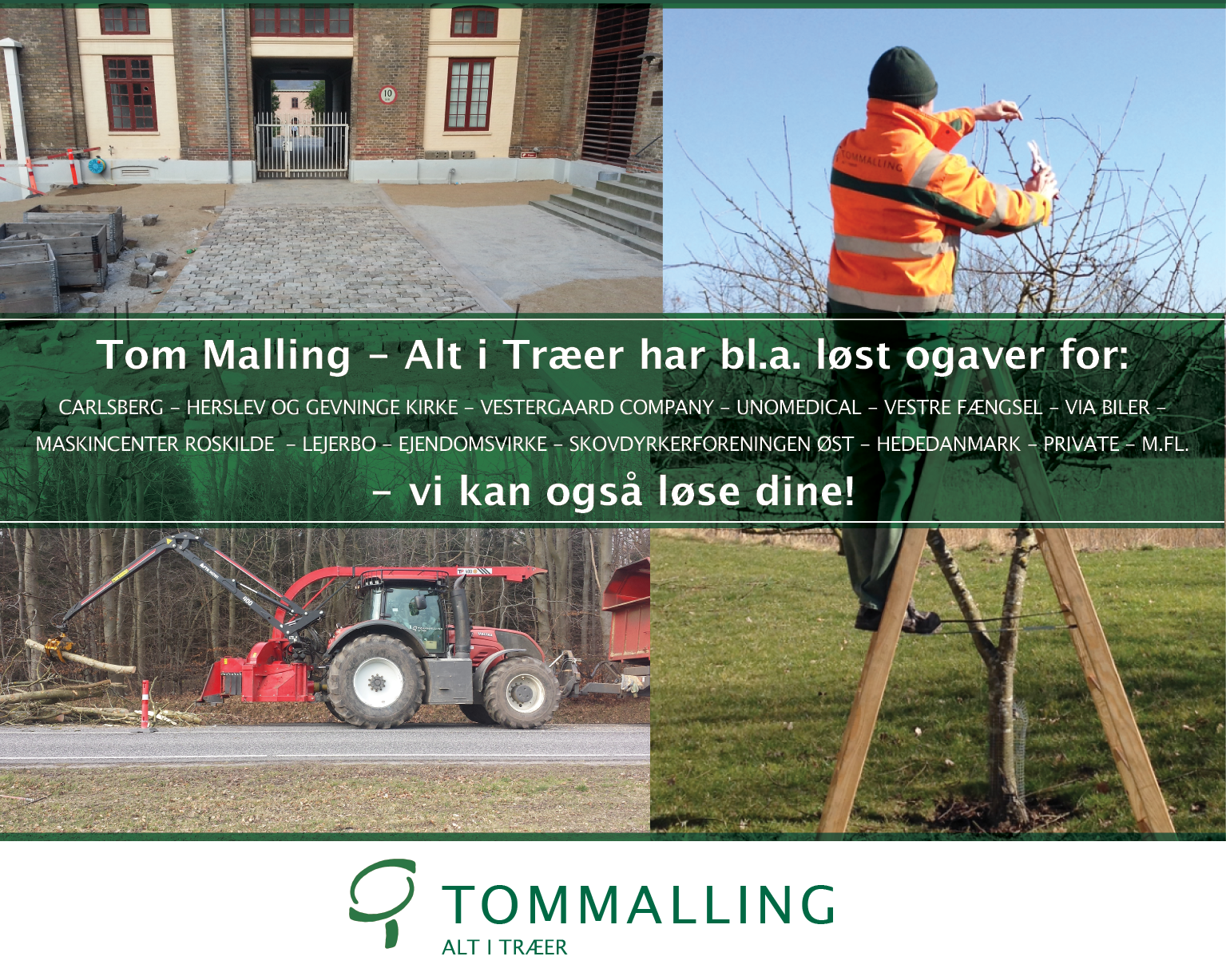 Tom Malling – Alt i Træer