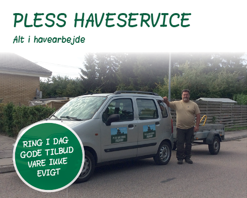 Pless HaveService